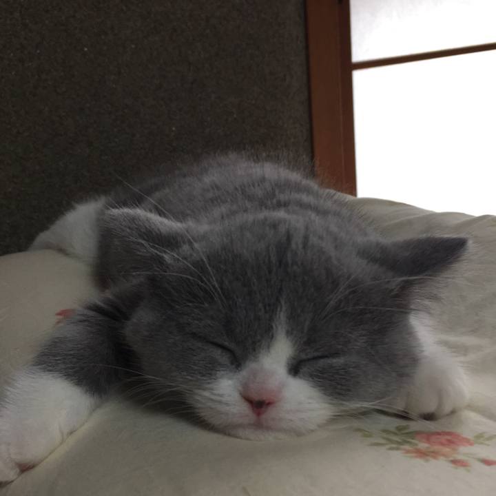 D7c27c98 5020 4597 b28d f2baaaf0494e