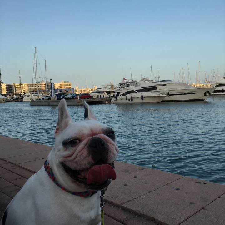 D7c29892 feb6 47a3 81e9 2e51ead6862e