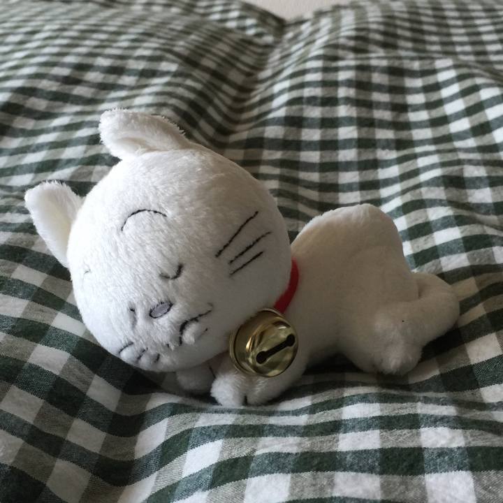 D7c2d426 00b0 4e78 b4e7 e5ab271513a2