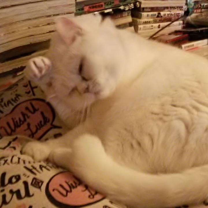 D7c3c2a7 1cf6 4eef 8edf 07bf8332768b