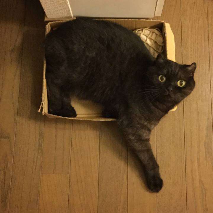 D7c3ffc7 f4f6 404f 8f5d ec32c1290cca