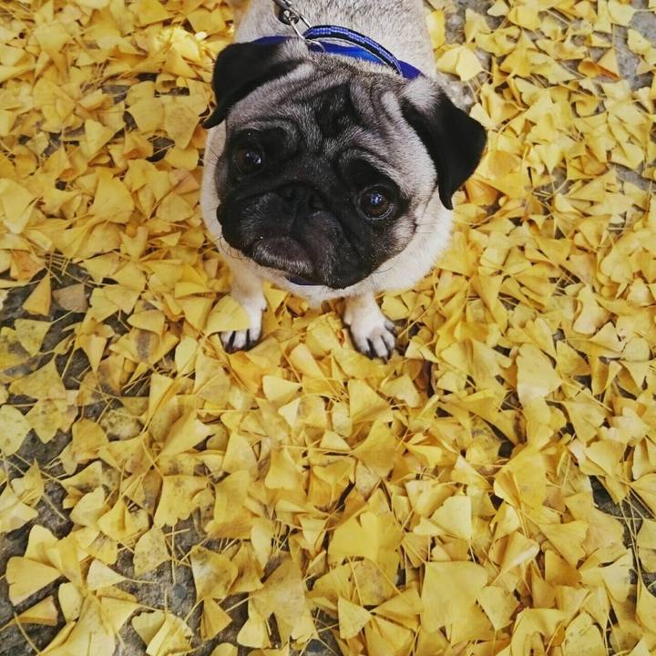 D7c4122b 430f 4803 ba5b 8445d4058795