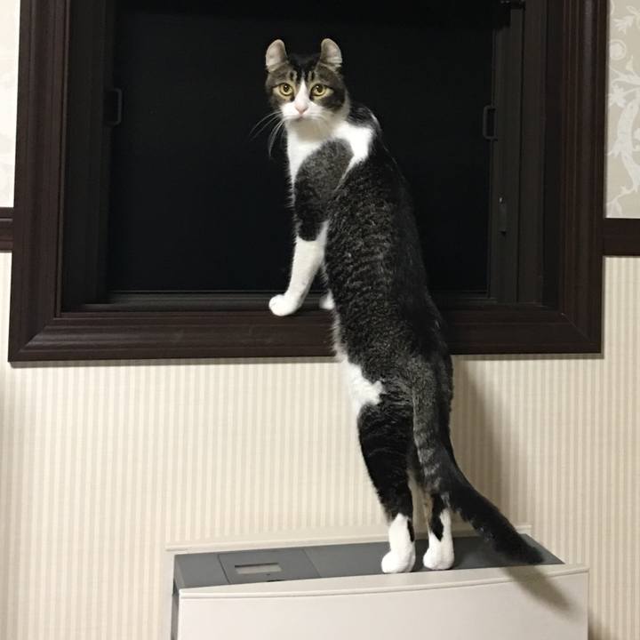 D7c439c3 d918 4940 ab48 034689eeceed