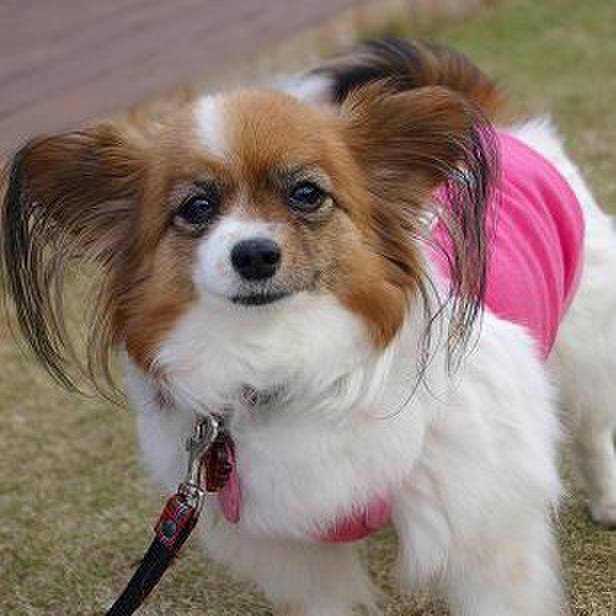 D7c4d9e3 c079 42b8 b0aa 6c7d10d54843