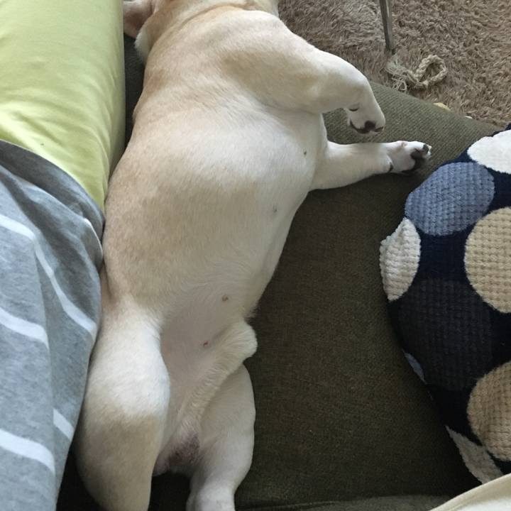 D7c50a49 6908 47c0 971a 17ddb42c777c