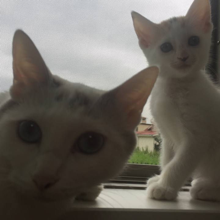 D7c5371f 4d37 4ab5 a7ae f538300a71ff