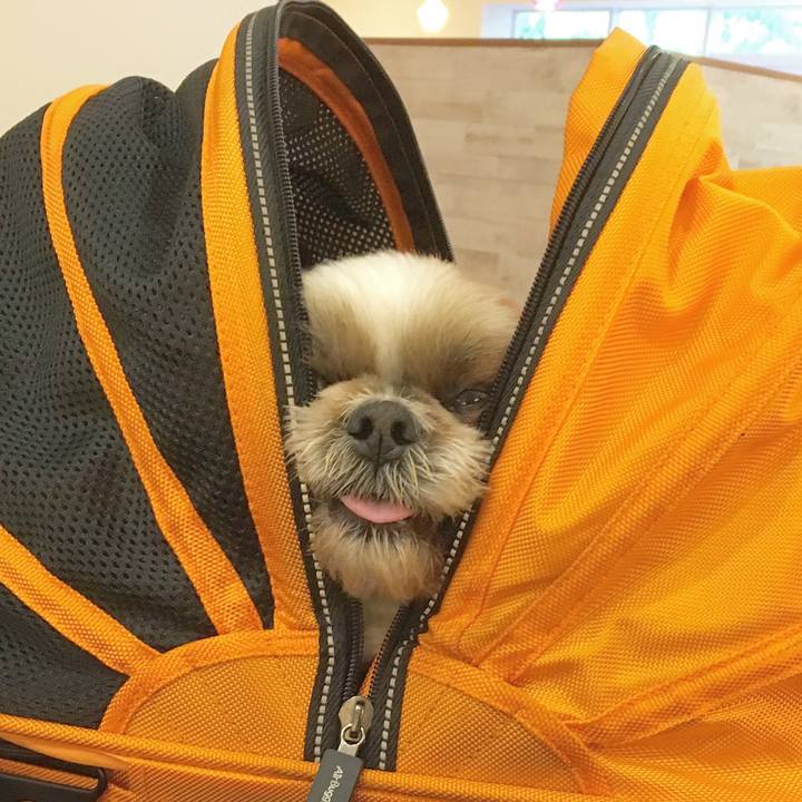 D7c591f0 aea4 40f0 aa4b 5fde4352d816