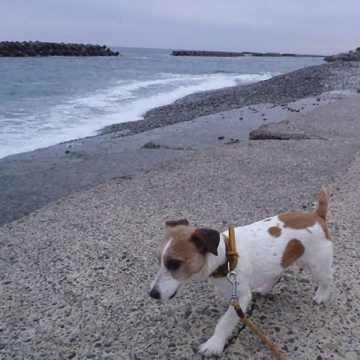 D7c5a0ba f898 46fd 826a eaf129b40157