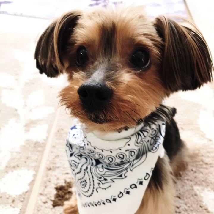 D7c611ee 9a94 41f3 8a70 0ca5ab349e92