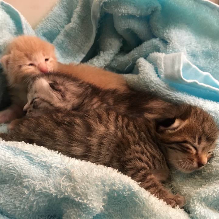 D7c68eb9 80b1 4dea a624 ec9a1d1c1a16