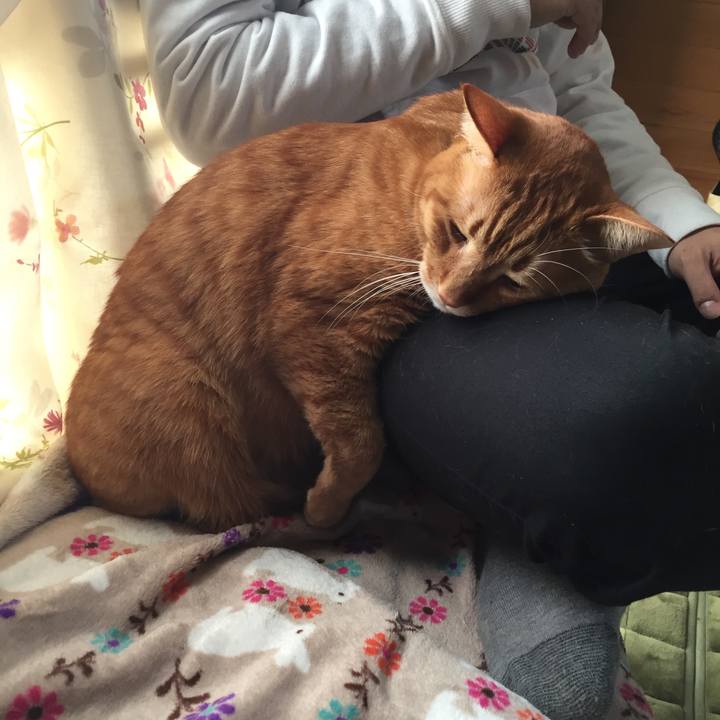 D7c6aca3 10fd 4a96 b01d 7ade9281fd5f