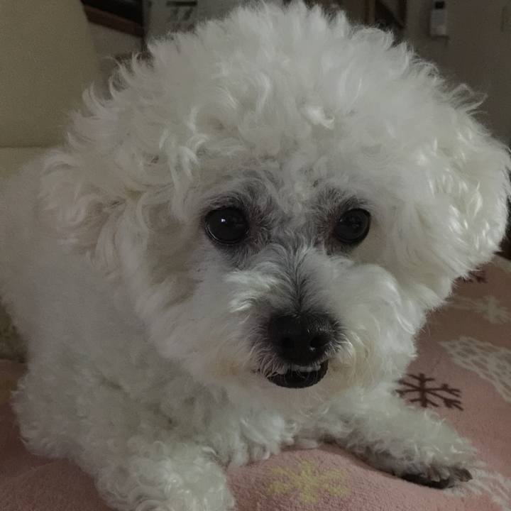 D7c6c630 1c5d 4bd9 83f1 94be77eb15ff