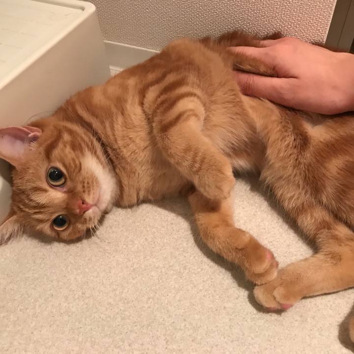 D7c6f7e7 87c1 4508 97cc a0b200a6cf9c