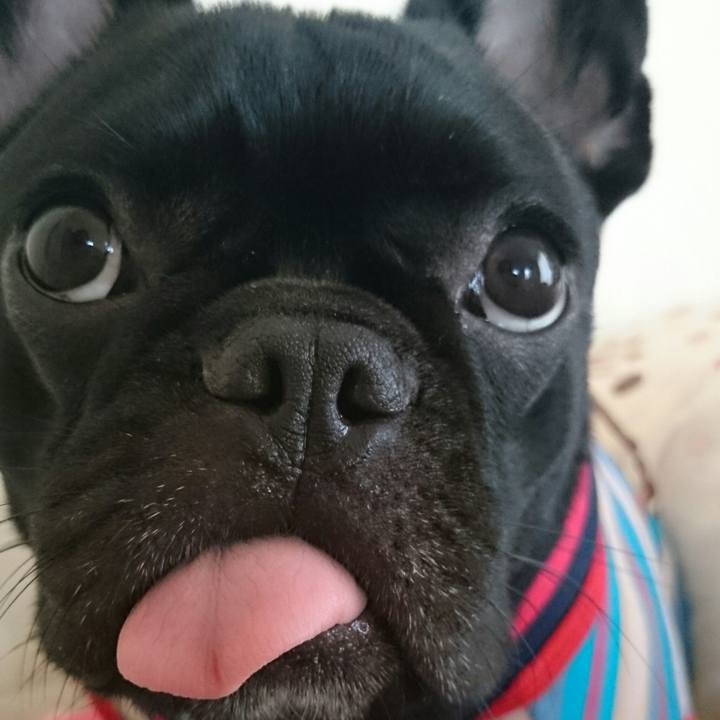 D7c80057 8681 4b8c bf91 34ad342bc680