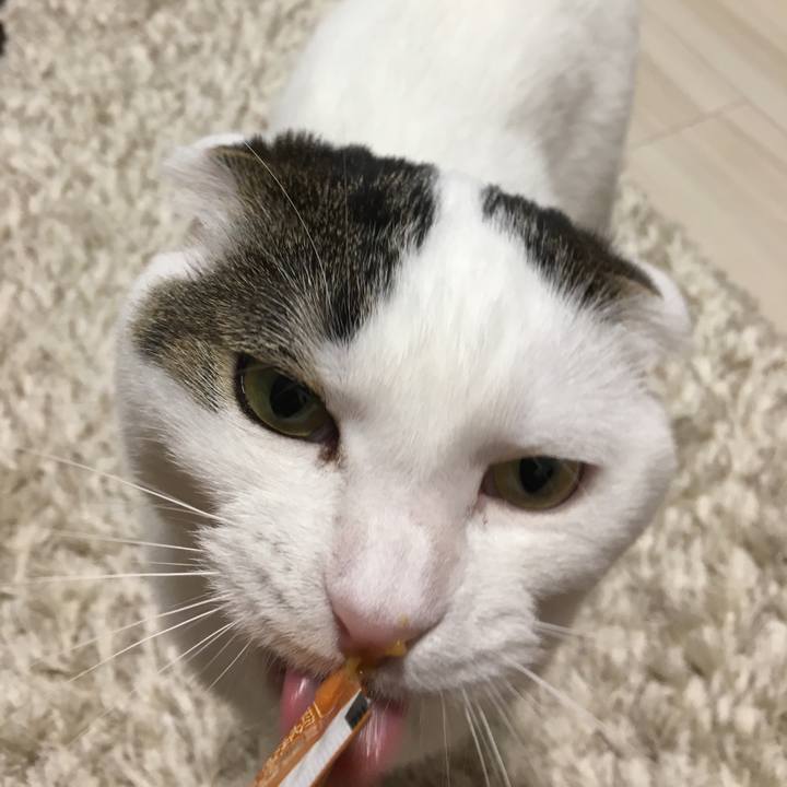 D7c8087d b7a1 473b 9680 313e75f774dd