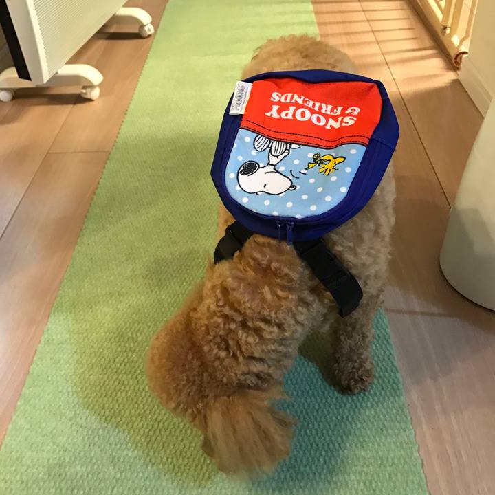 D7c86e0e e15b 4ee0 b2f5 262ba3ddd0d4