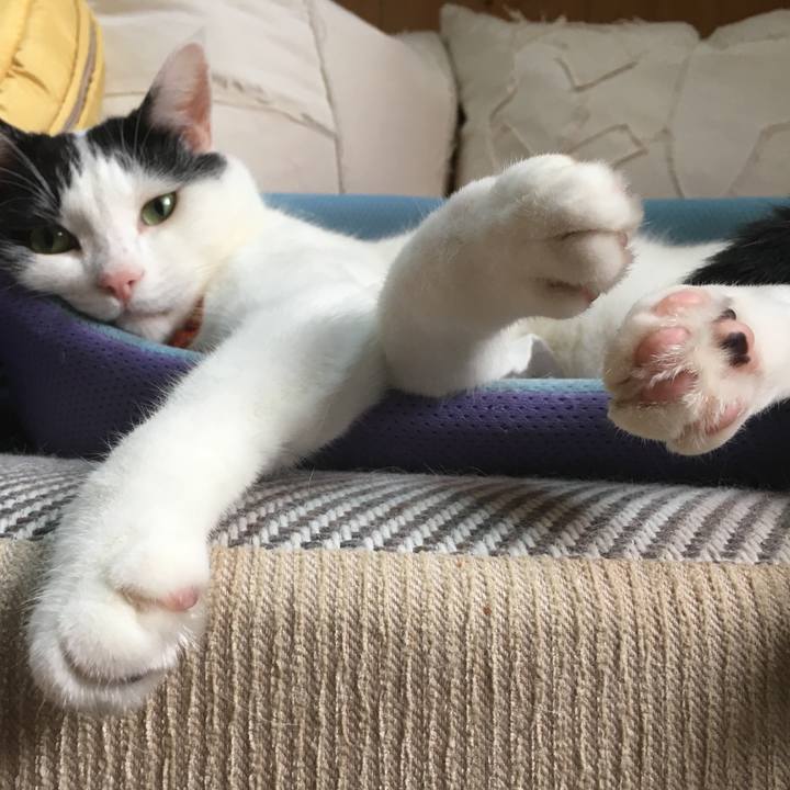 D7c88717 4963 4887 966f 289f198b9c3c