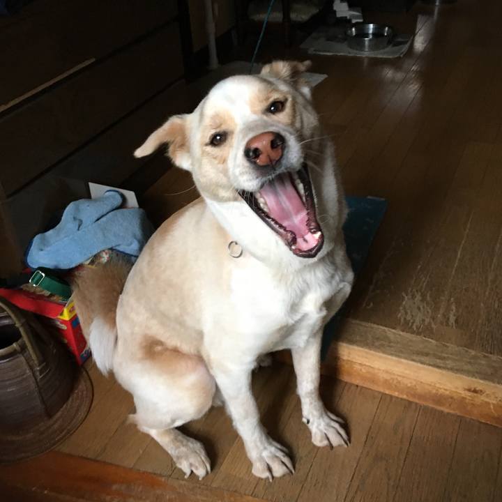 D7c8d3b1 0114 49b9 8a91 a3c7294aeebc