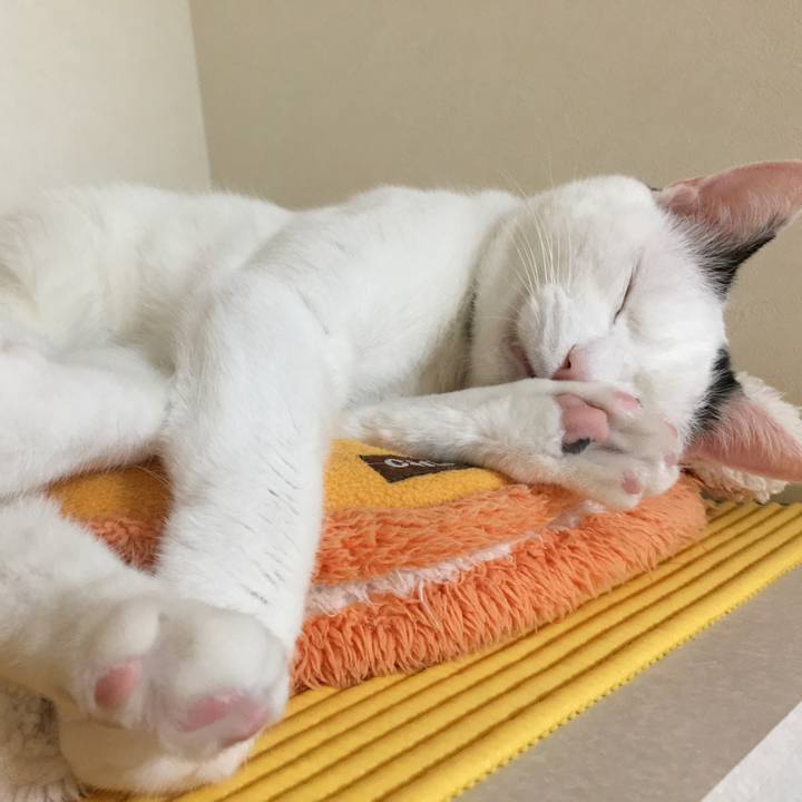 D7c8ea9b 8edf 47b2 85e9 2b137823dc83