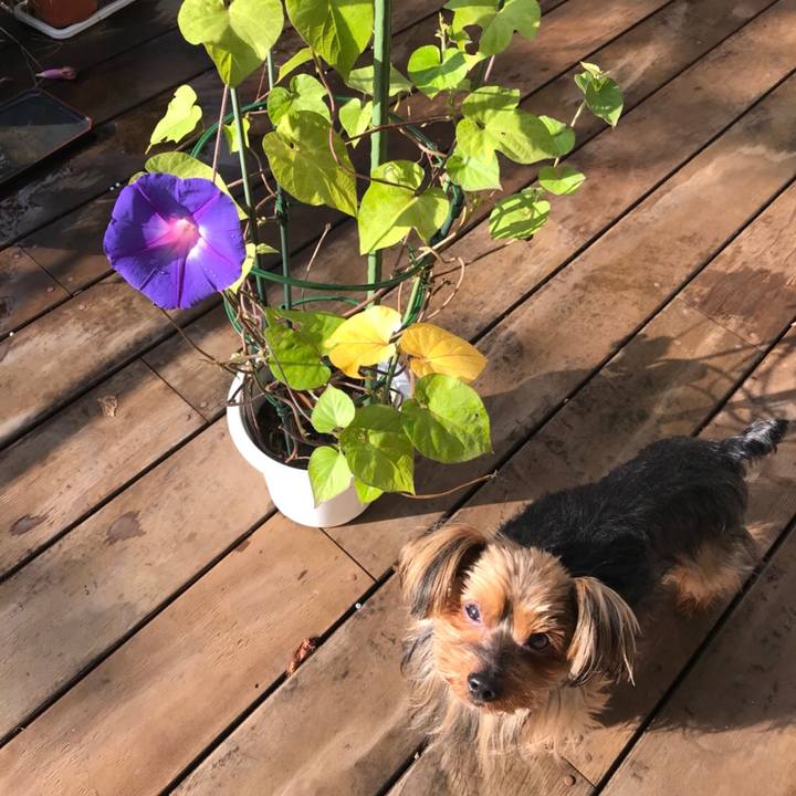 D7c93cbb c1c1 4fde a040 4a469a623887