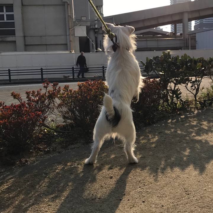 D7c94c67 935f 4181 8276 bc7da07700bb