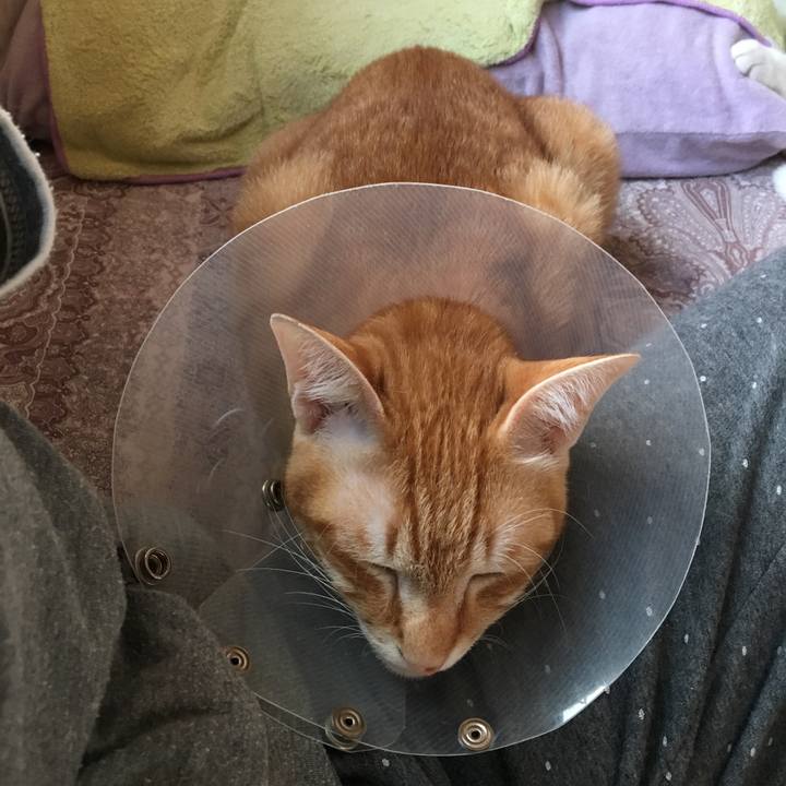 D7ca24a4 bb89 4a7d b669 1e1bf5a4f0bd