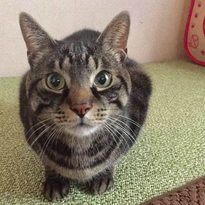 D7ca4aca 5d0f 4d9f aa90 8ecf790df2d7