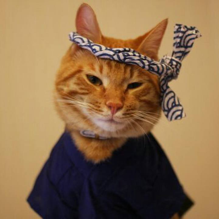 D7ca880b e964 48b5 ae68 bba51715fdc8