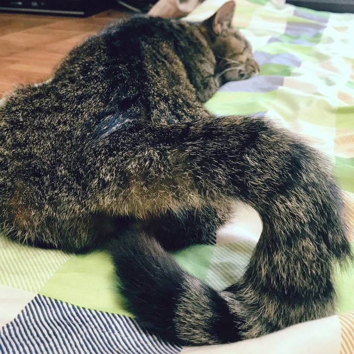 D7ca98cf 7e9d 424e be6e 57ee7354379e