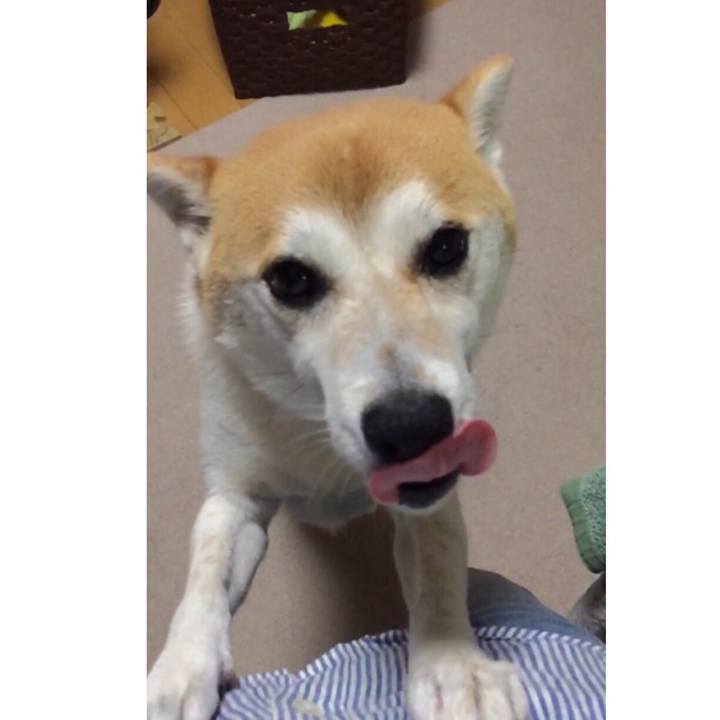 D7cabf04 e2ad 4548 83db d2f38e36887f