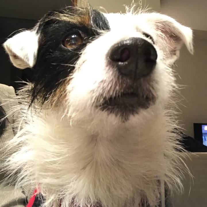 D7cb40aa c79c 42e3 a1b2 64f658ca453f