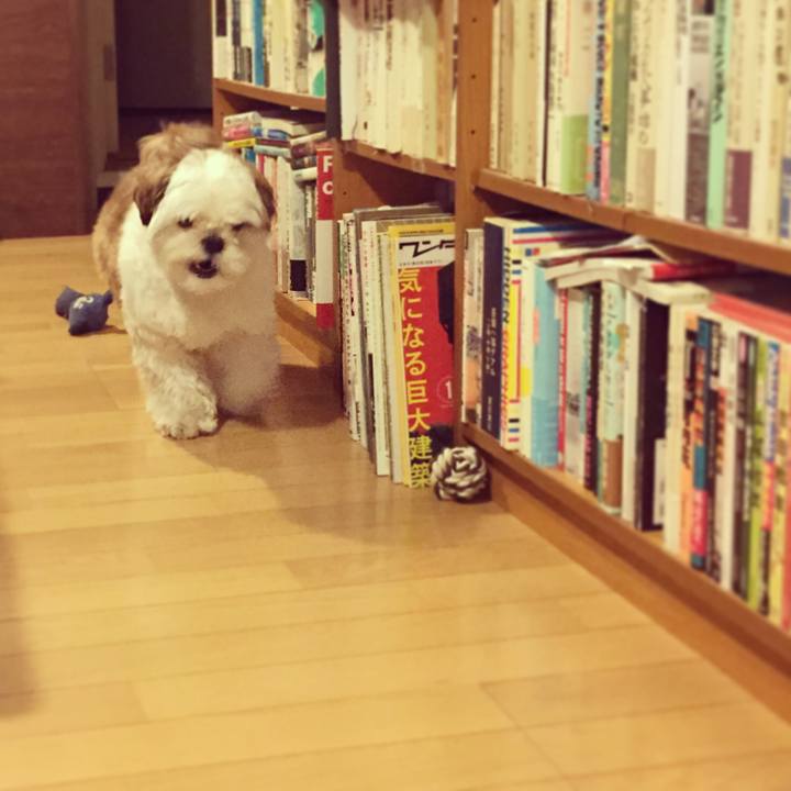 D7cb4aad 7ba1 4520 a7dc e2c50fe1e18a