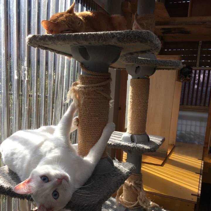 D7cb5007 d5ea 4ffc 9cd1 ac0d2d3d5f05