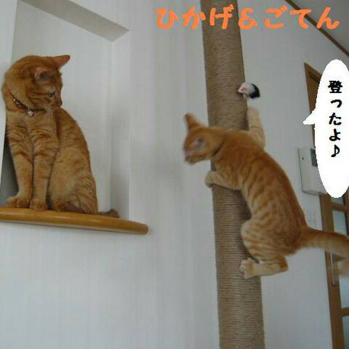 D7cb82f7 b5c0 4405 b23d b40713895276