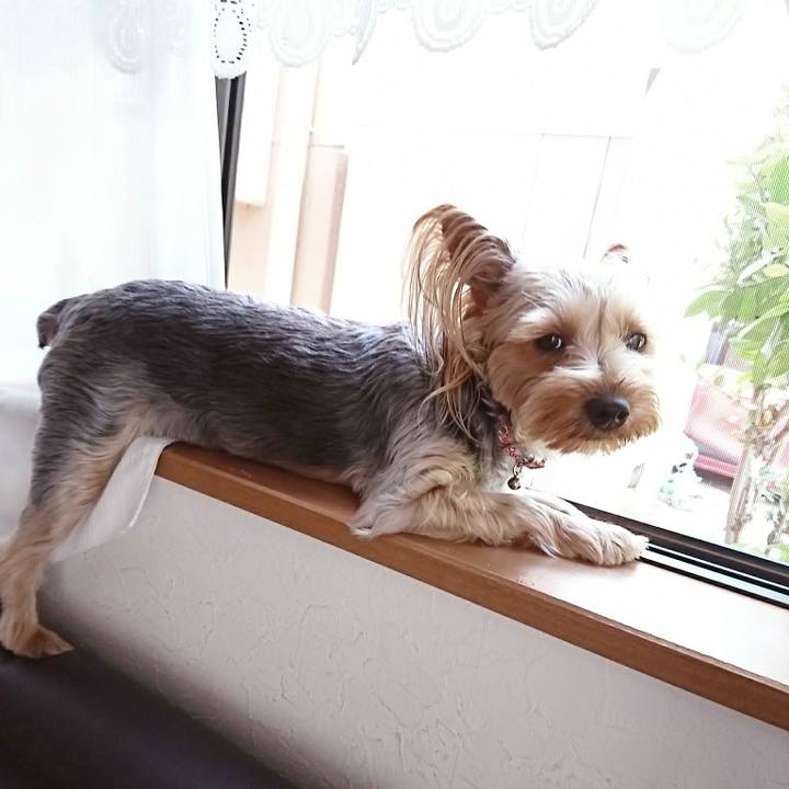 D7cb8bdd 418e 429a b29d 044f9b0b3ce4