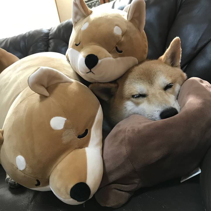 D7cbde75 70e6 4729 94a8 cdf0ccb38758