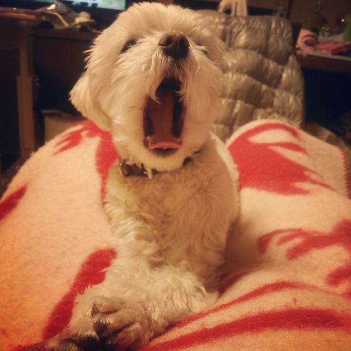 D7cc74d4 8794 491d b55e 1a9f35735cd8