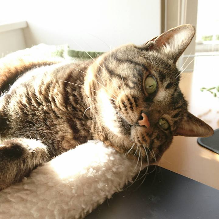 D7ccaad6 8f9d 448d a793 98a709d1f14c