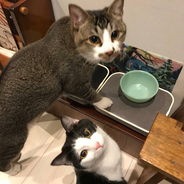 D7ccb706 0f61 406c 92a3 7af52bad4f6f