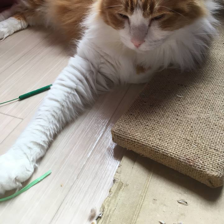 D7ccf944 c199 4021 b425 5d7e93e88be1