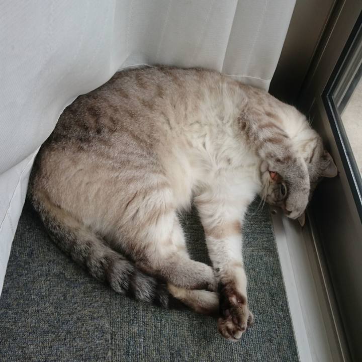 D7ccfb00 a83e 4651 bfa7 86906fbedf9b