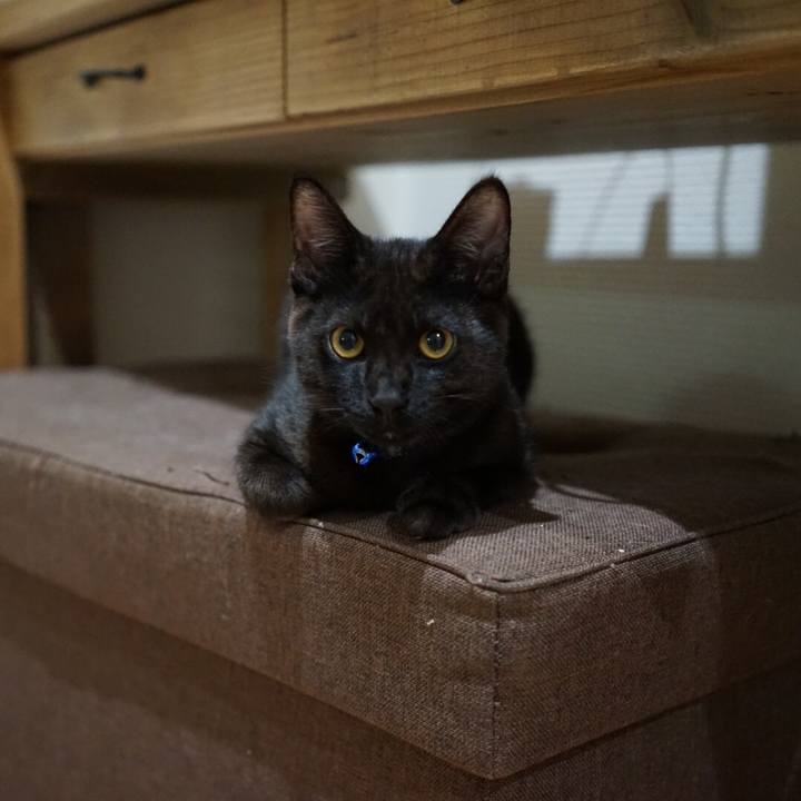 D7cd261d 5af5 4a92 a572 2362742746ef