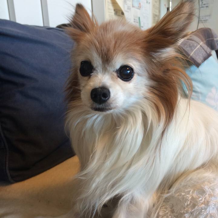 D7cd308b d03d 4d74 96f1 da466fe00320