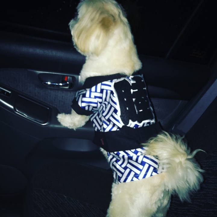 D7cd55f3 a5fb 4a0e 8286 712f1302053d