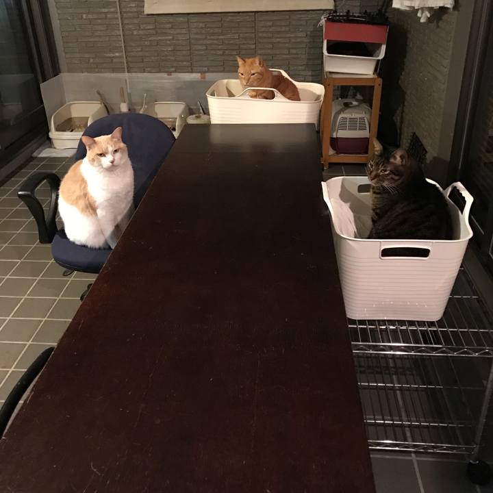 D7cde26d 7bdb 4cd1 8a99 a280121da6a1