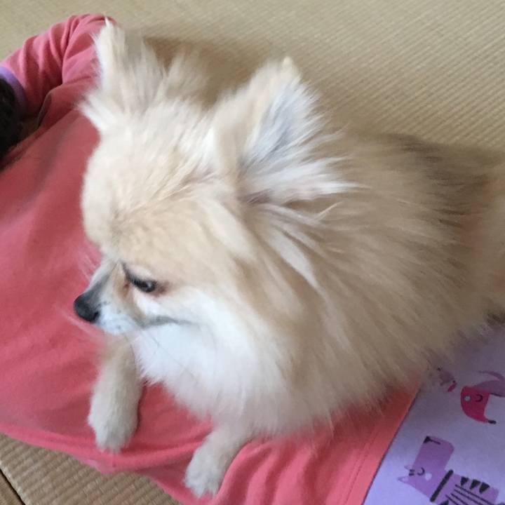 D7ce77b7 2ffb 45e6 b1f3 0d35c14840af