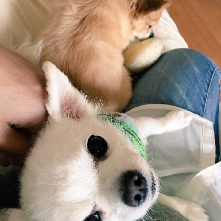 D7cea5e1 c938 47b1 a4e0 3a52b34d8e85