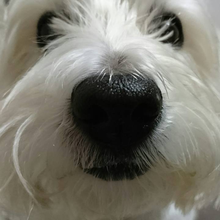 D7cf5981 ade0 4c3a ac0e 10c523634c0f