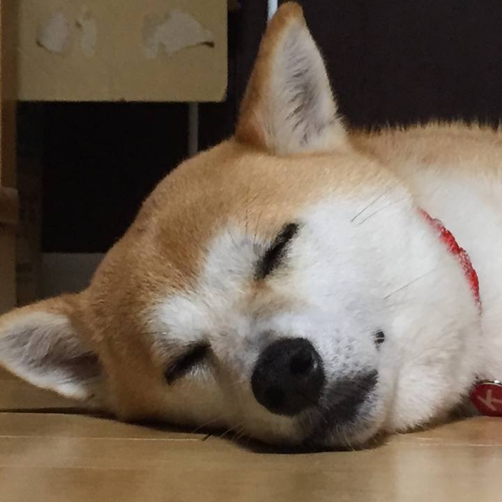 D7d0d05c df66 4196 aa13 74f4546097fc