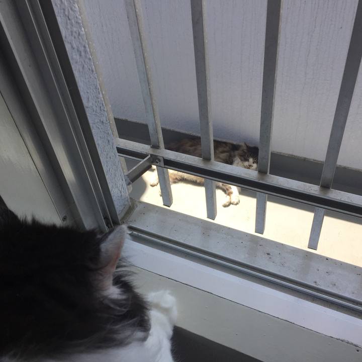 D7d0d7f2 9ac8 4eea 90ef 47bedae27ec9